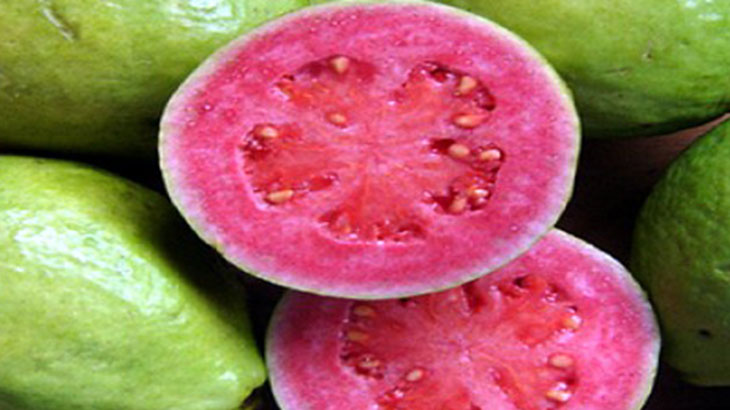 Descubren compuestos bioactivos en frutos regionales