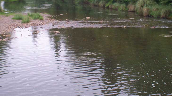 Escherichia coli en arroyos y lagunas: un riesgo para tener en cuenta