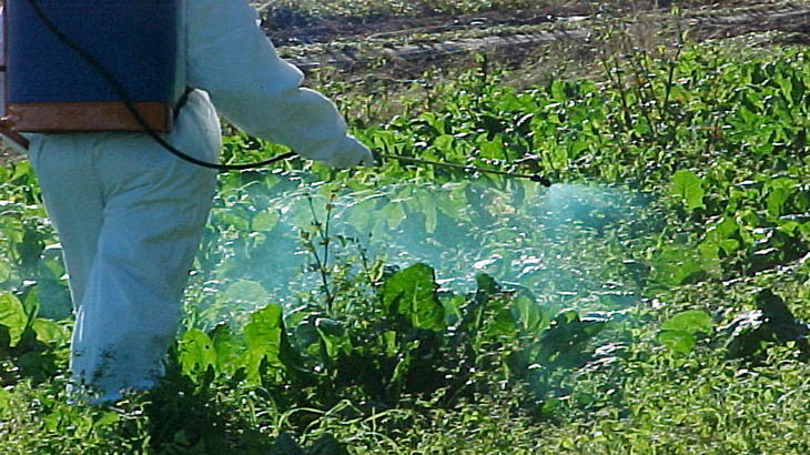 Plaguicidas: Las condiciones de aplicacin son inseguras