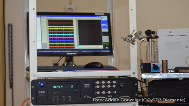 Vinchucas: logran avances en su monitoreo y control