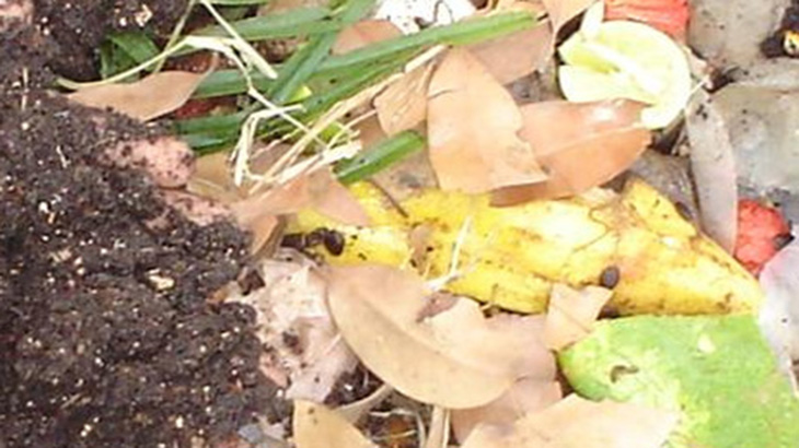 Desarrollan un compostador automatizado