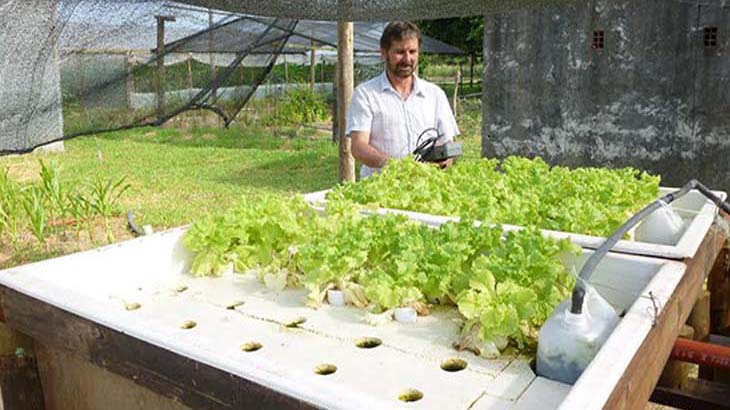 Acuaponia, un modelo de aprovechamiento en el cultivo conjunto de peces y plantas