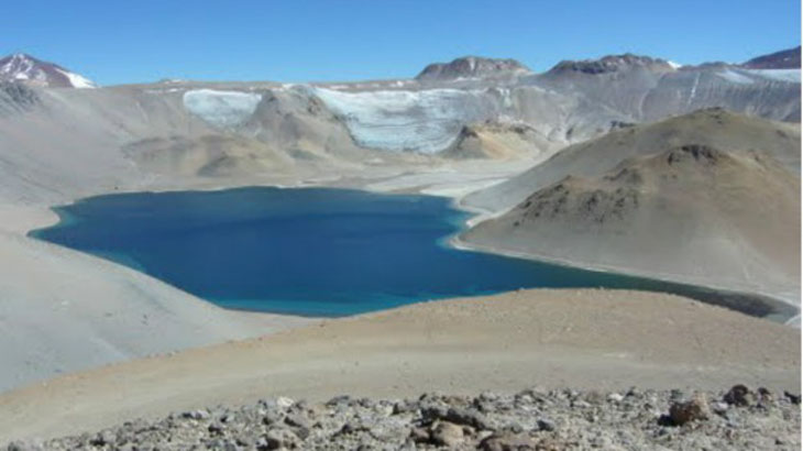 Nuevos registros de aves para la Reserva Provincial de Laguna Brava en La Rioja