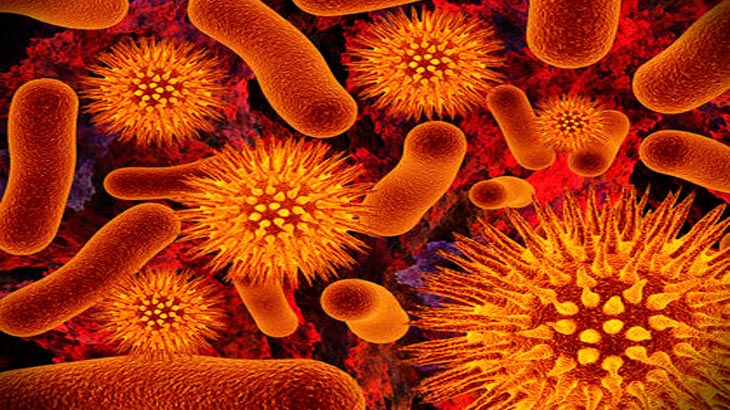 Virus, especies sin peligro de extincin