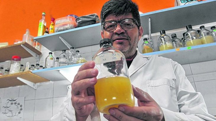 Hallan bacteria que prolonga la vida