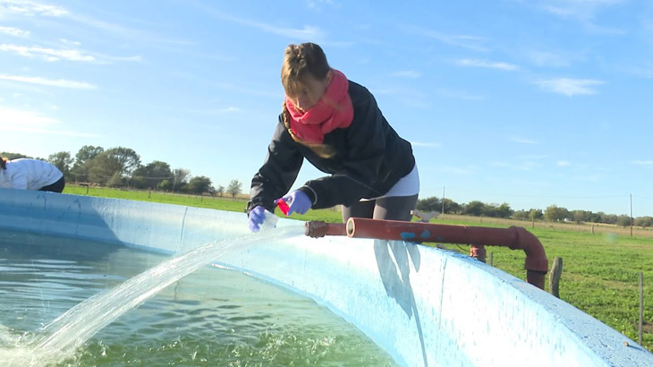 Estudio sobre la calidad del agua en zona productiva del este pampeano