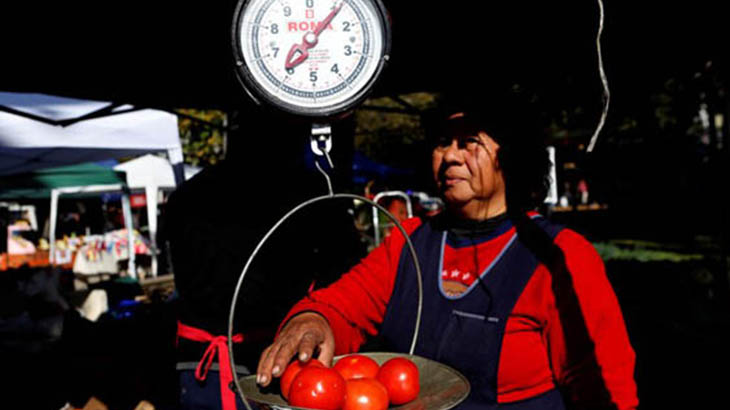 Una cruzada por preservar la semilla del tomate platense