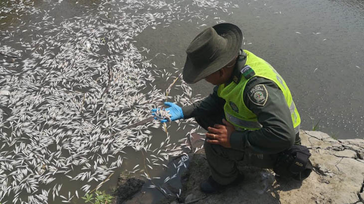 Un novedoso algoritmo para predecir la mortandad de peces