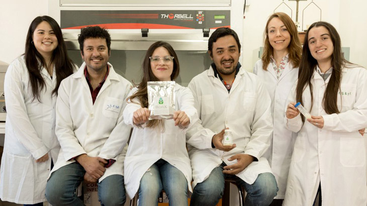 Desarrollan biofertilizantes a partir de una bacteria de las manzanas