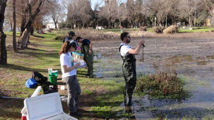 Hay 350 especies de flora y fauna que viven en el riocuartense lago de Villa Dalcar