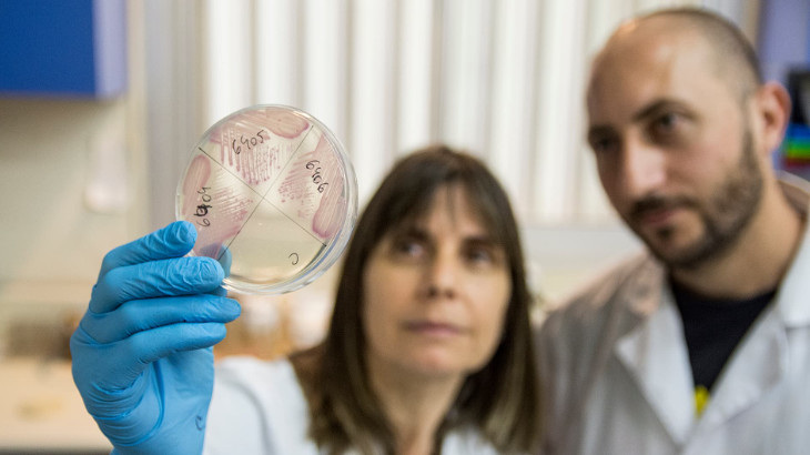 Detectan bacterias multirresistentes a los antibiticos en el ro Suqua y en el ambiente de Crdoba