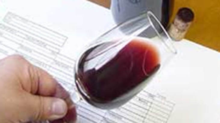 El vino tiene quin lo traduzca