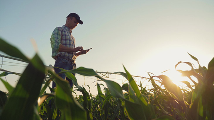 Desarrollan una app para productores agropecuarios