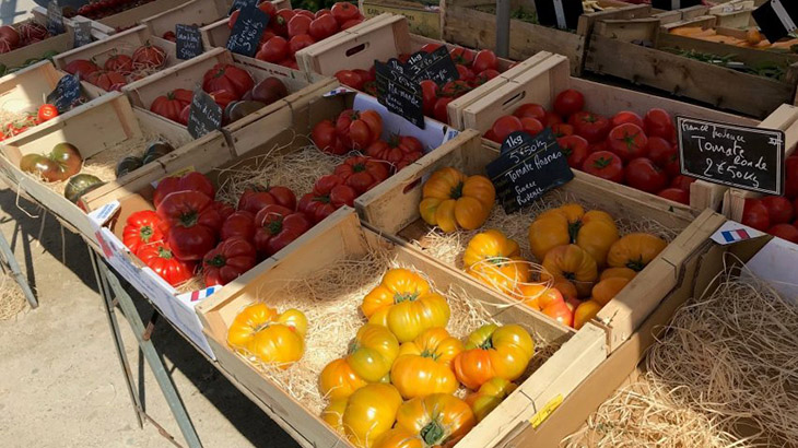 Tomates mejorados, de la huerta a la mesa