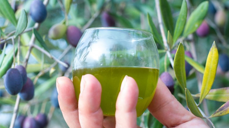 Aceite de oliva mendocino: cuando el origen geogrfico es un sello de calidad