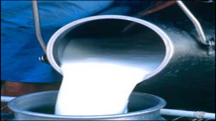 Analizan el perfil lipdico de la leche de bfala