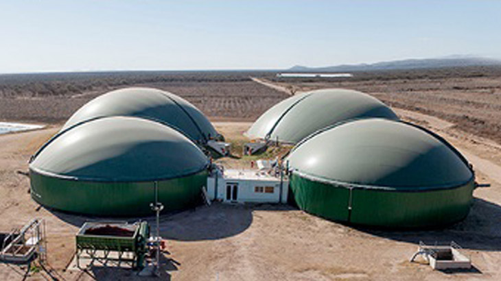 La produccin de biogs y biofertilizantes a partir de desechos agrcolas es una oportunidad para pymes agropecuarias