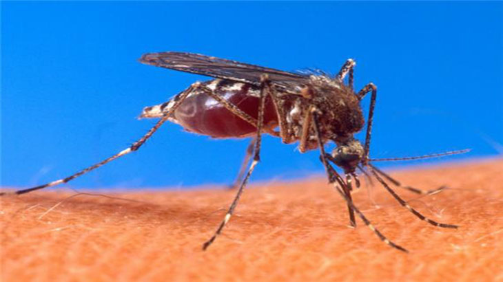 A la campaa contra el dengue se suma la Universidad