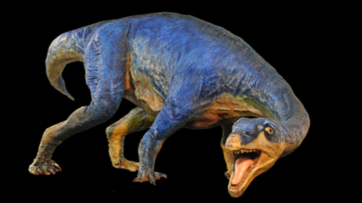 Hallan el primer dinosaurio herbvoro con pico