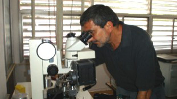 A la vanguardia de la nanotecnologa