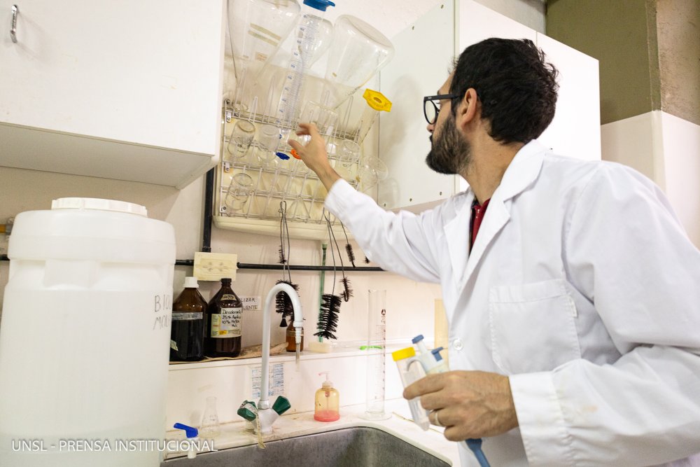 Descubren una toxina en el genoma del mosquito del dengue