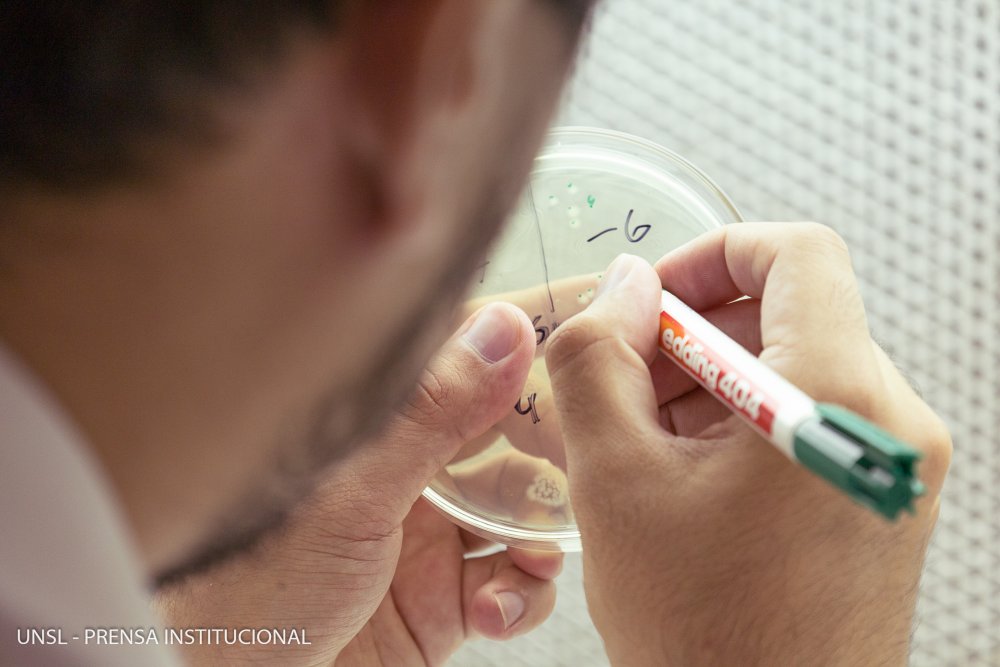 Analizan microorganismos para eliminar la toxicidad de aguas y suelos