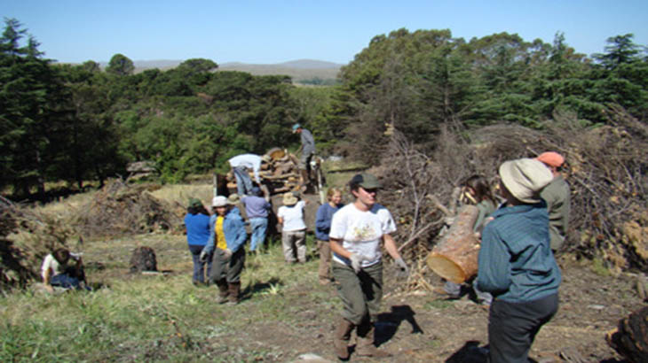 Manejo ambiental y solidaridad