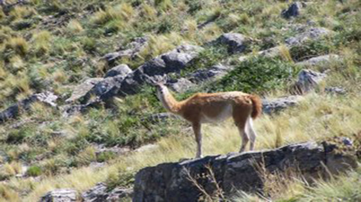 Parque Tornquist: amenazado por la naturaleza del hombre