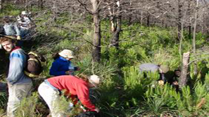 Parque Tornquist: amenazado por la naturaleza del hombre