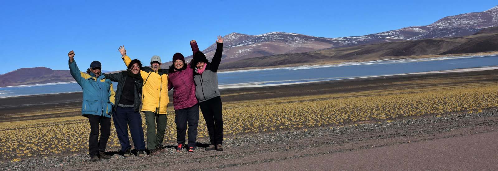 Descubren una nueva especie de roedor en la Reserva Provincial Laguna Brava