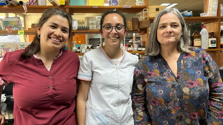 Aislaron compuestos bioactivos con potencial antidiabtico a partir de harina de sorgo