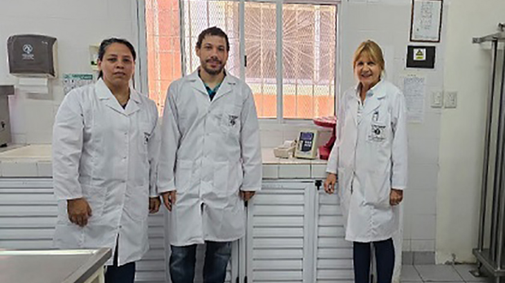 Leche de Bfala: una investigacin podra impulsar la industria y el comercio de lcteos