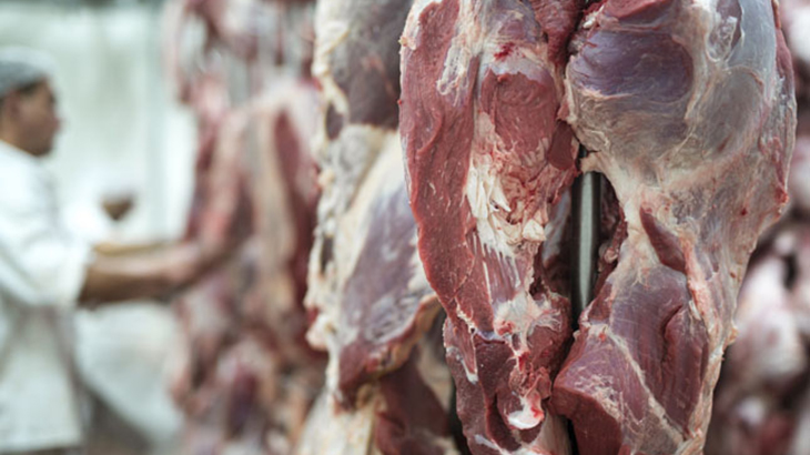 Produccin de carne vacuna a nivel regional: un aporte a la calidad de producto final