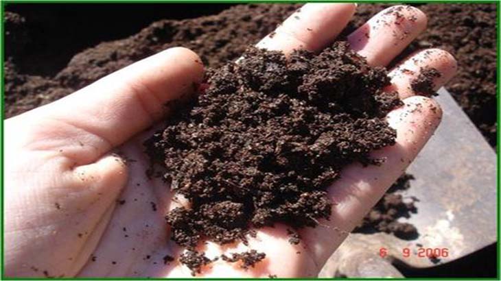 Residuos agroindustriales para compostaje