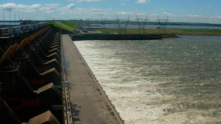 Especies de peces transferidas por instalaciones de Yacyret